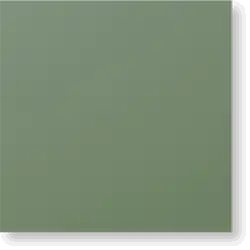 C127